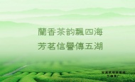 安溪茶广告图片