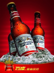 百威啤酒广告图片