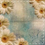 菊花背景图片