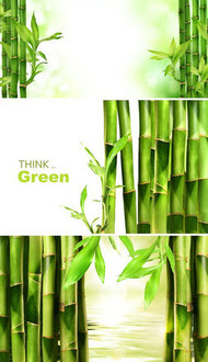 淡雅绿色竹林图片