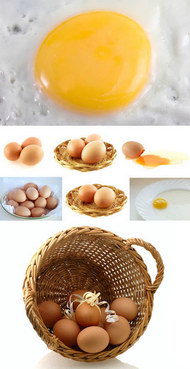 各种鸡蛋图片