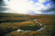 苏格兰湿地图片
