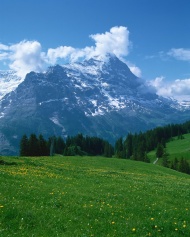 瑞士草原山景图片