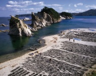 日本海滩图片