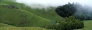 绿草山坡晨雾图片