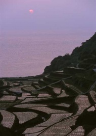 田园风格图片