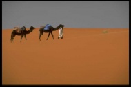 沙漠风光1