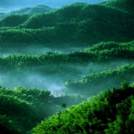绿色山景图片