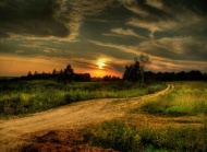 野外草地夕阳图片