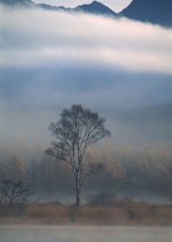 山景山雾河流图片
