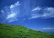 花草山坡蓝天图片
