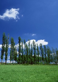田野蓝天天空美景图片