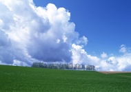 绿草蓝天天空美景图片