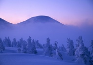 雪景图片