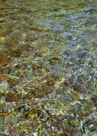 清凉的溪水图片