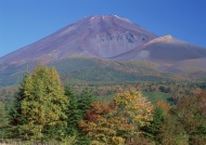 富士山草木图片
