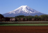 富士山田野图片