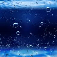 海底水泡02图片