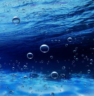 海底水泡01图片