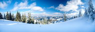 冬季景观图片10