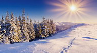 冬季景观图片8