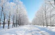 冬季景观图片7