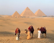 金字塔?沙漠?骆驼?埃及图片
