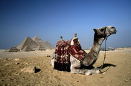 金字塔沙漠骆驼埃及