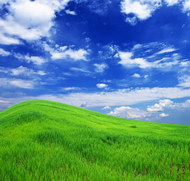 蓝天白云草从草地图片9