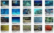 海底世界Vol.3