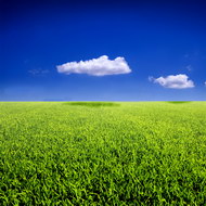 蓝天白云草从草地图片2