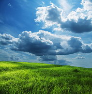 翠绿草地蓝天白云图片