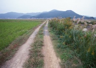 田间泥土路图片