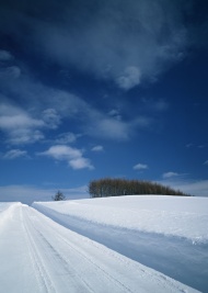 雪地公路图片