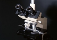 显微镜实验图片