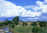 长颈鹿草原河流蓝天图片