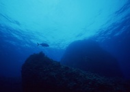 深海鱼图片
