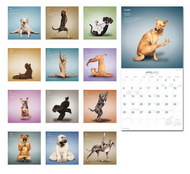 Yoga?Dogs?2010?日历配图图片
