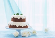 双层巧克力蛋糕美食图片