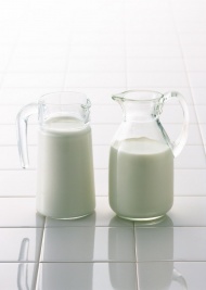 两杯牛奶美食图片