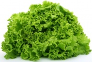 绿色青菜图片