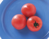 三个蕃茄图片