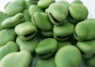 绿蚕豆图片