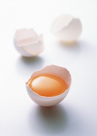 鸡蛋蛋壳图片