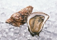 冰冻牡蛎图片