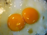 两个蛋黄图片