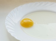 蛋清蛋黄图片