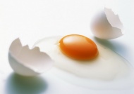 蛋壳与鸡蛋图片