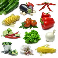新鲜蔬菜图片1