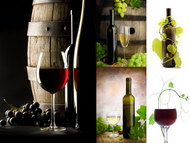 5张葡萄酒系列图片